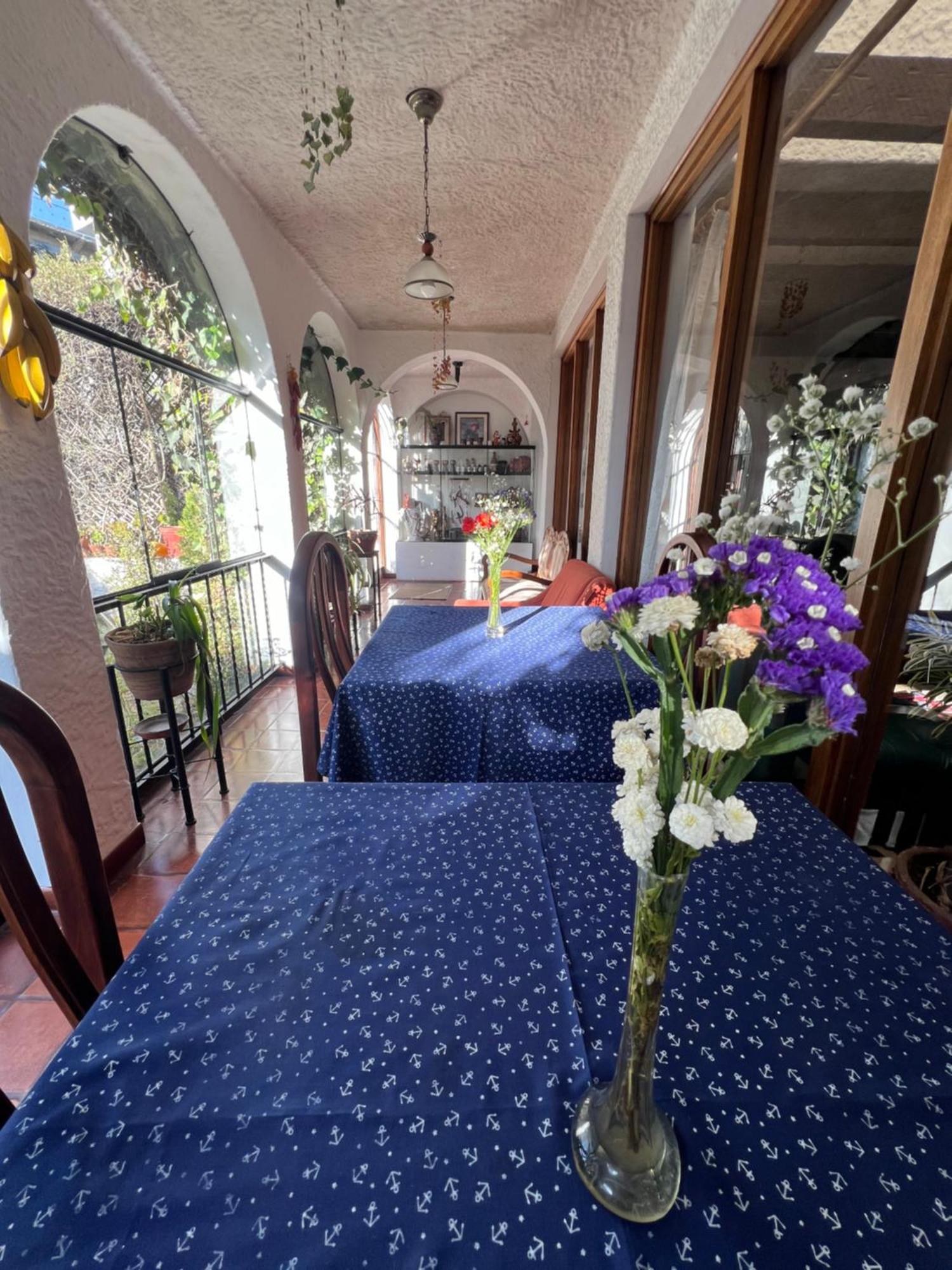 Hotel La Casa De Tin Tin 阿雷基帕 外观 照片
